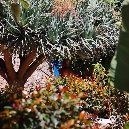 Old Fisherman's Corner 18 - Centro Old Town Appartement