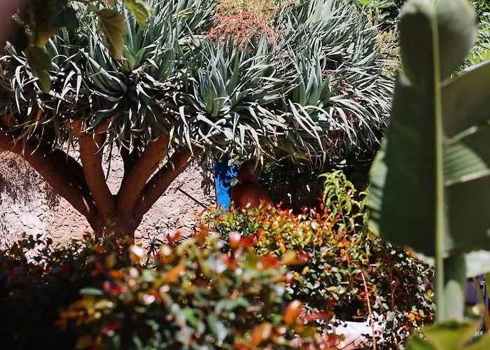 Old Fisherman's Corner 18 - Centro Old Town 公寓